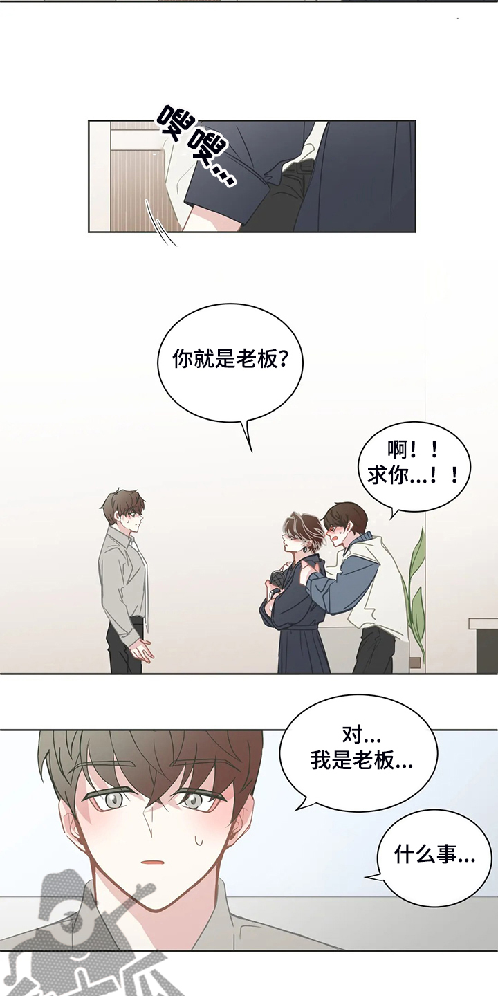第259章：母亲到来15