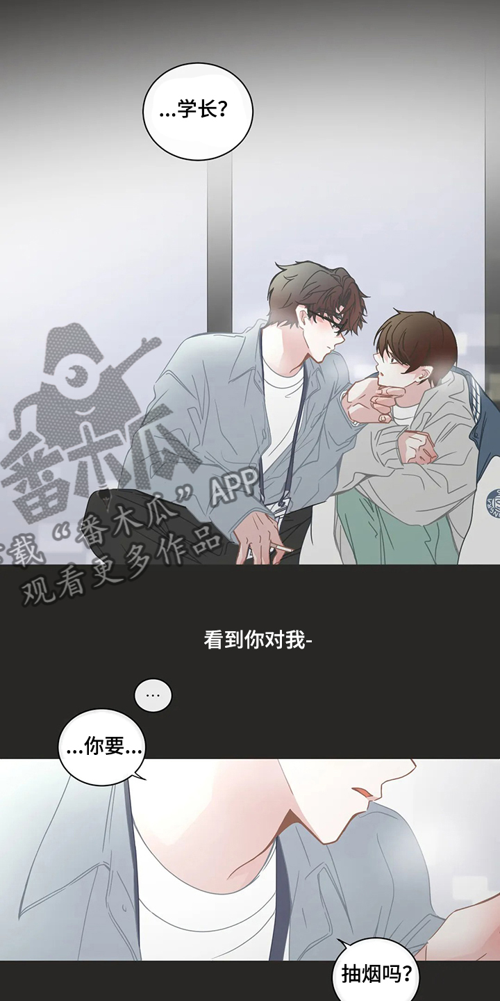 第251章：不想伤害你4