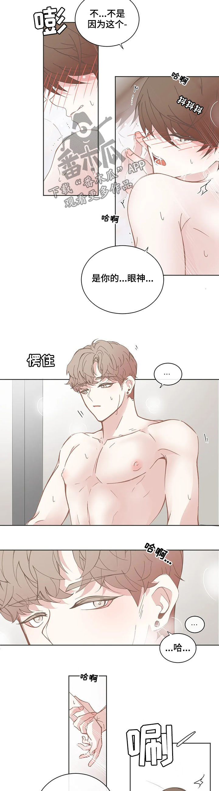 第144章：叫哥3