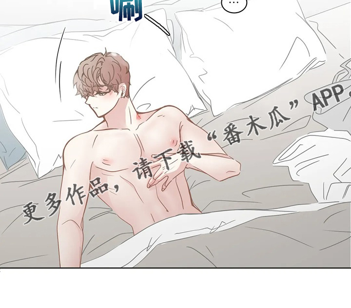 第244章：你去哪了11
