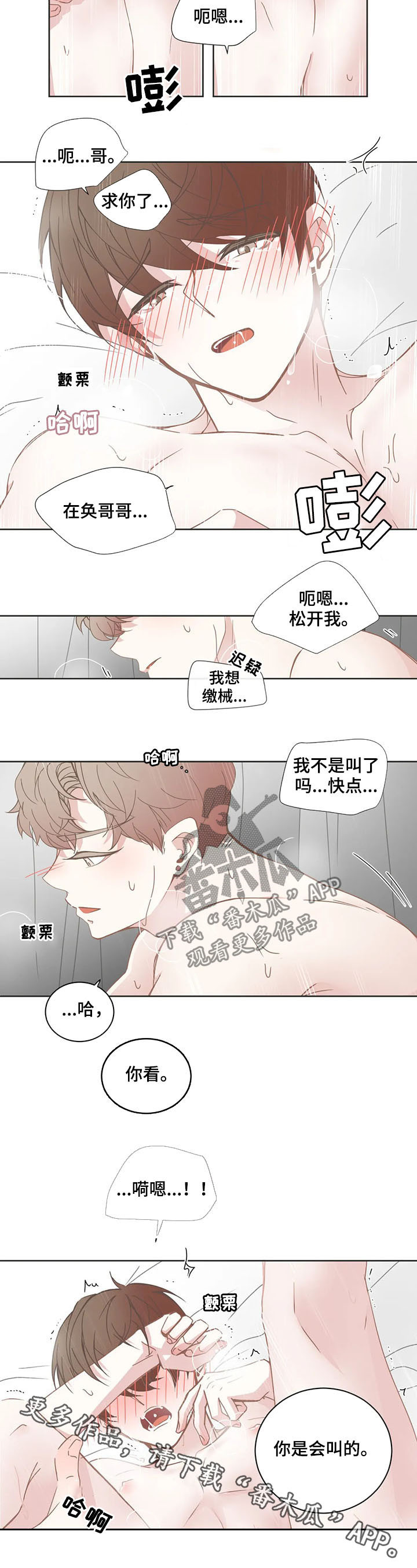 第144章：叫哥8