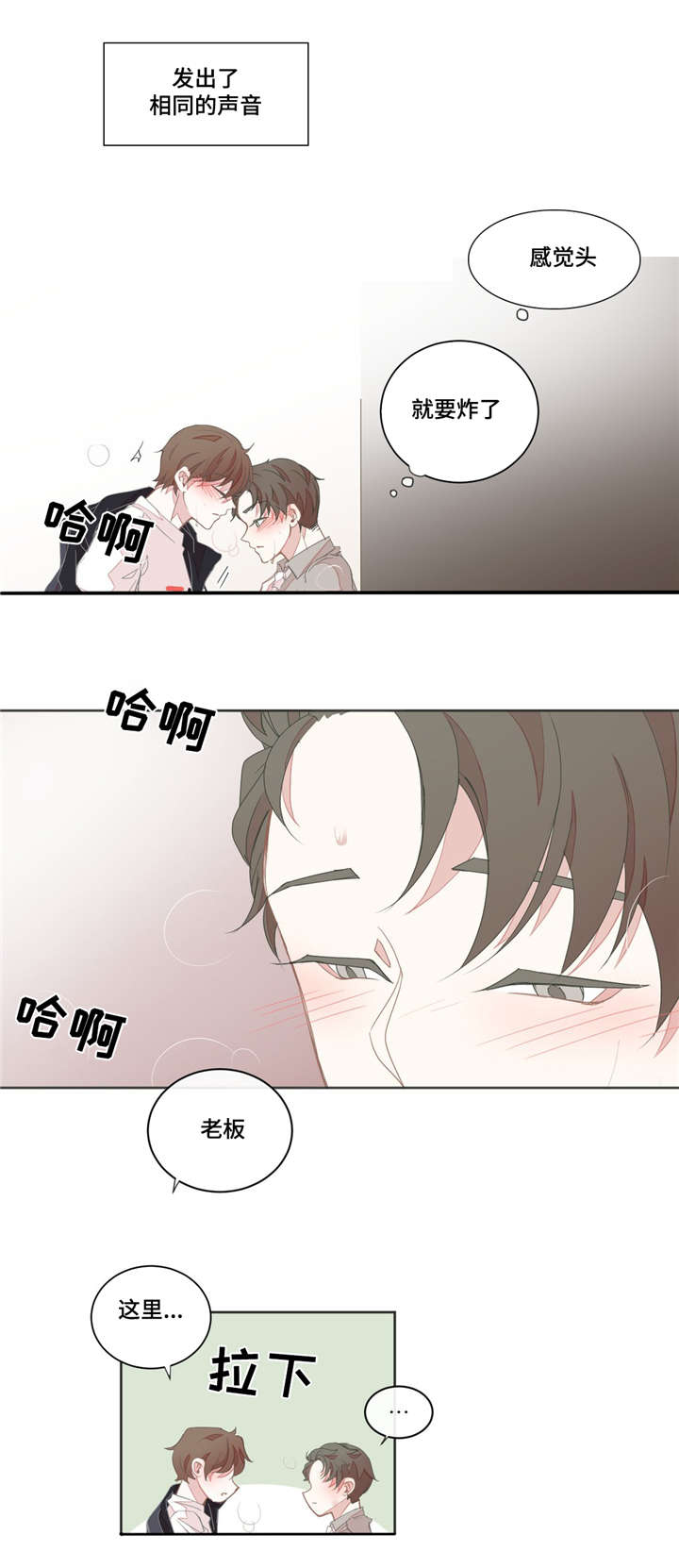 第22章：不管用了11