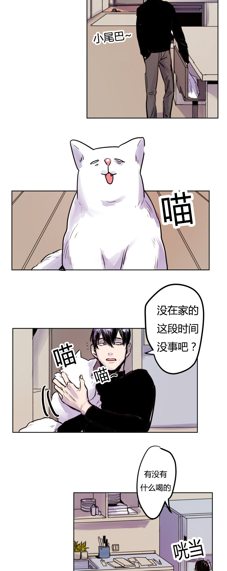 第5章：想法11