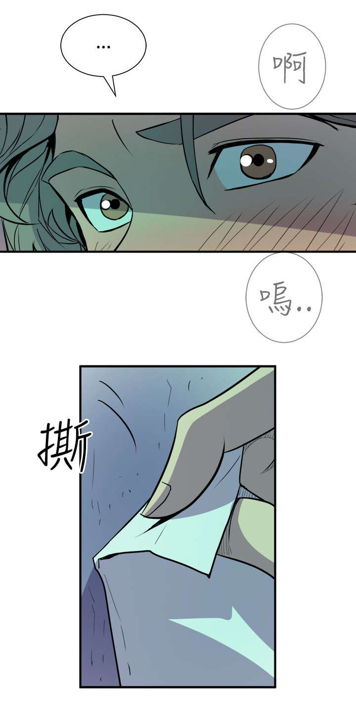 第14章：奇怪的叫声21