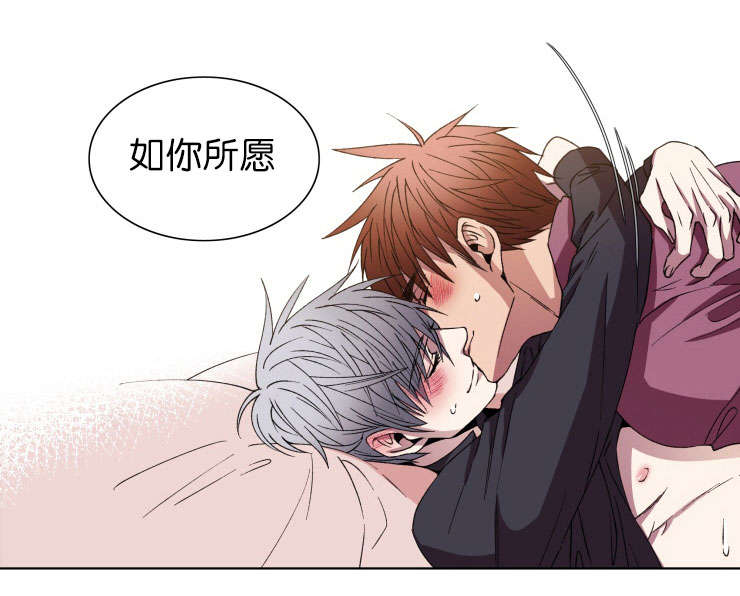 第13章：如你所愿11