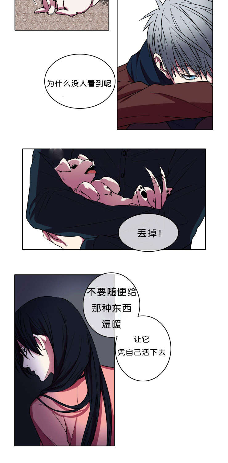 第7章：本意12