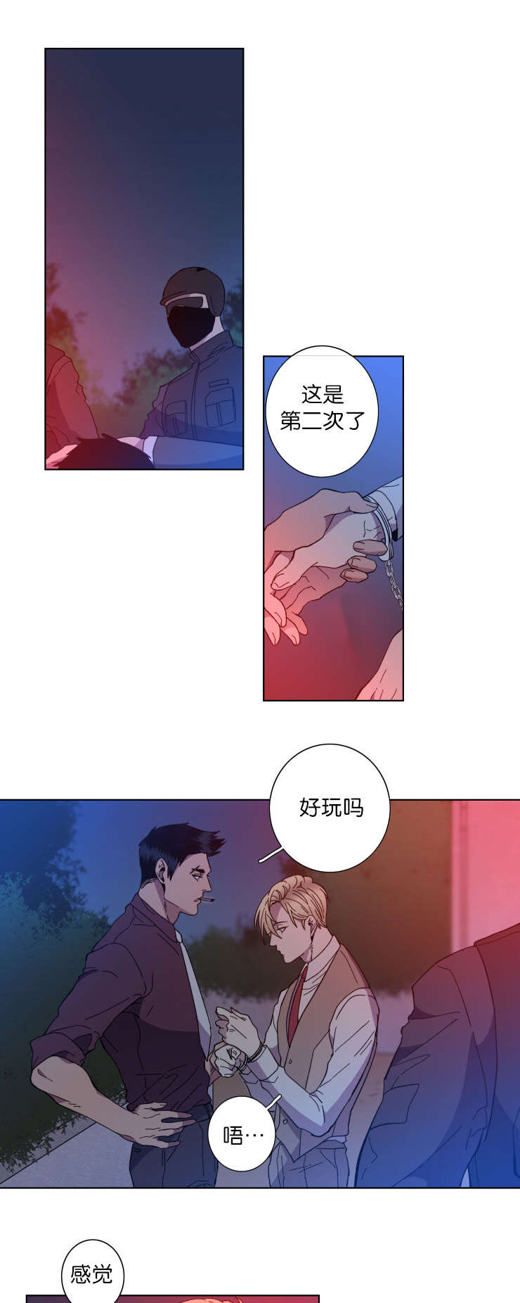 第62章：对比3