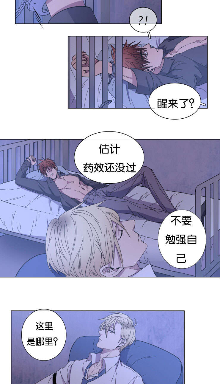 第24章：我的心意11