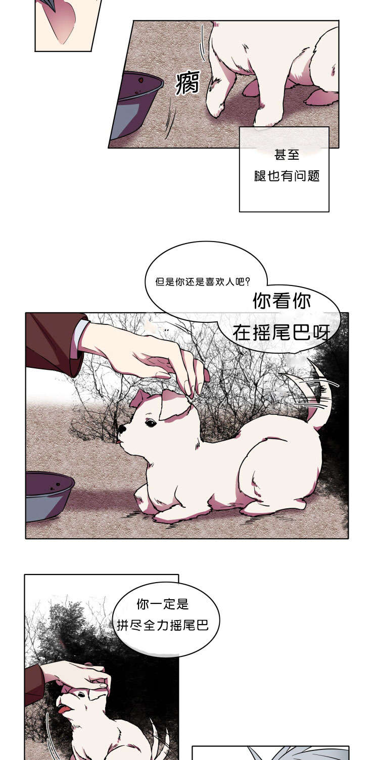 第7章：本意11