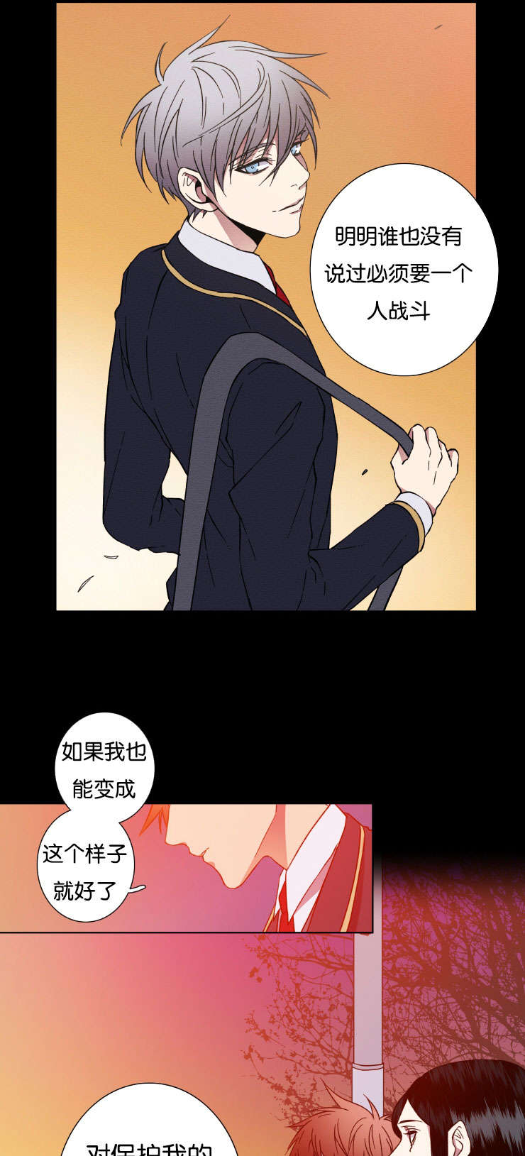 第29章：保护11