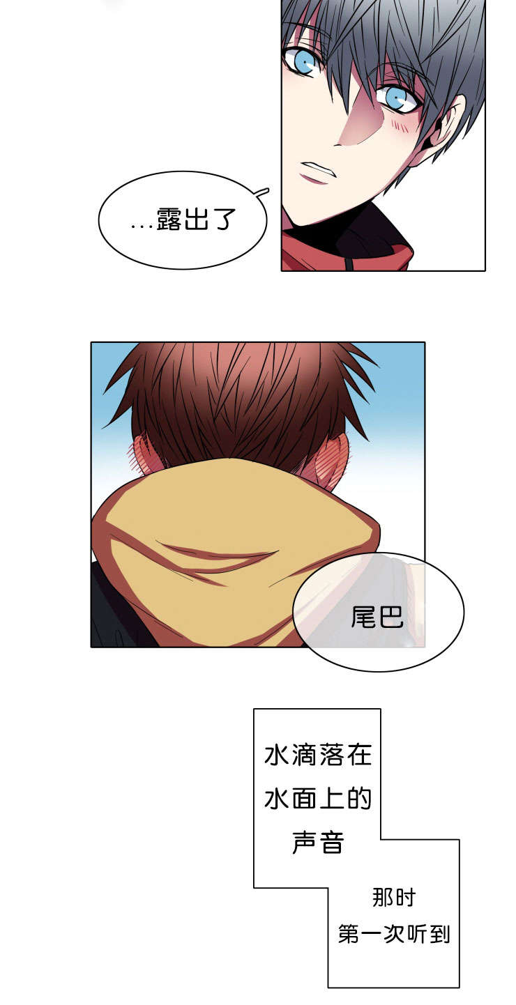 第8章：战斗6