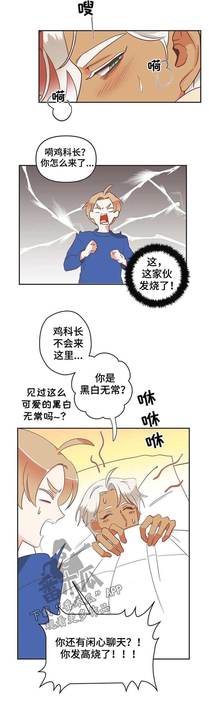 第145章：发烧7