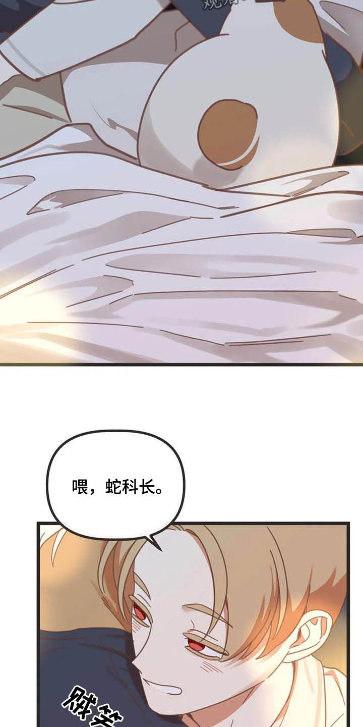 第186章：【番外】惊喜5