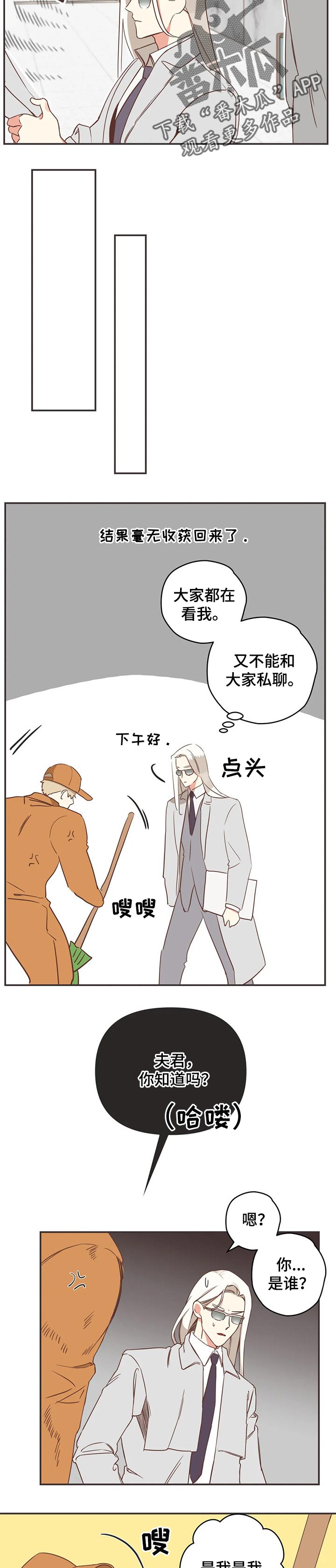 第161章：传闻3