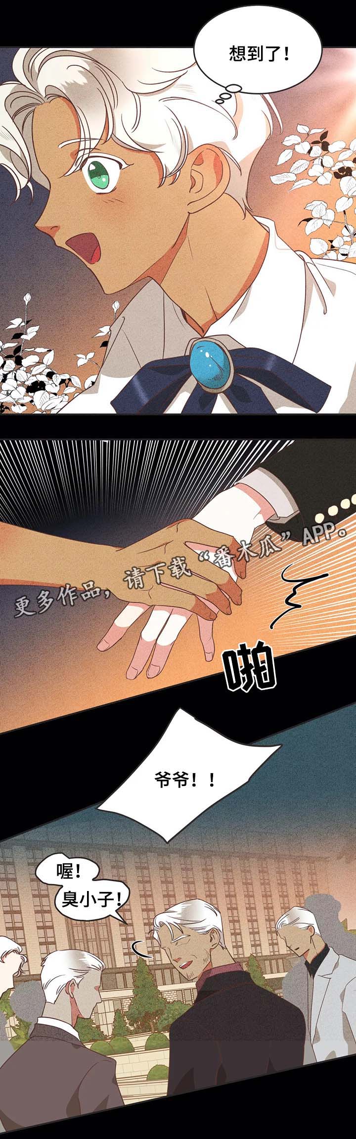 第96章：过去的记忆8