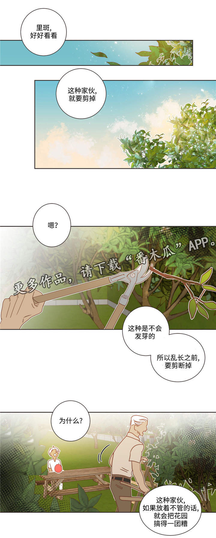 第68章：什么关系6