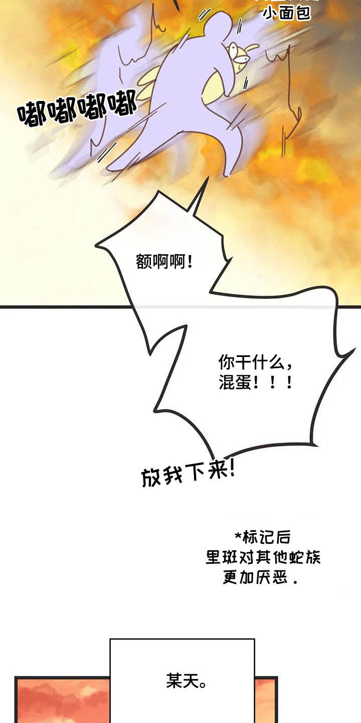 第186章：【番外】惊喜29