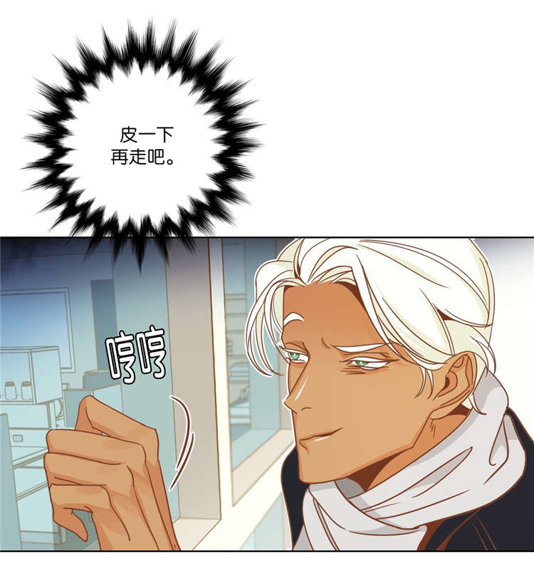 第12章：陪同11