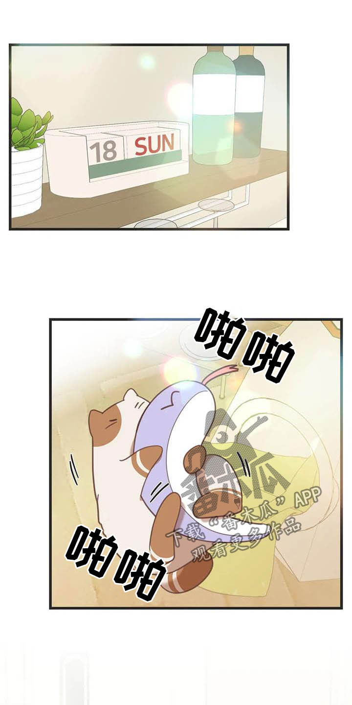 第185章：【番外】同居1