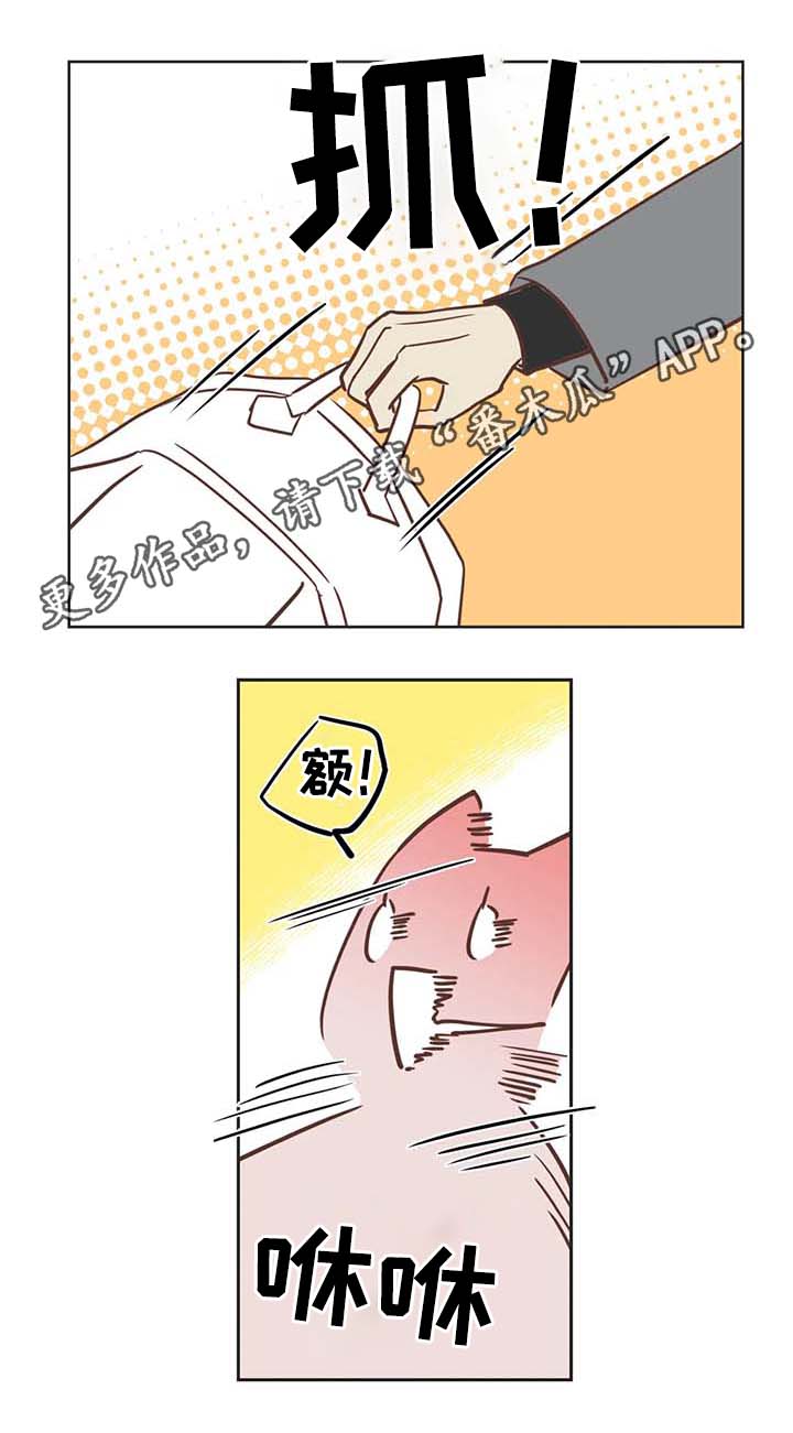 第106章：冤大头2