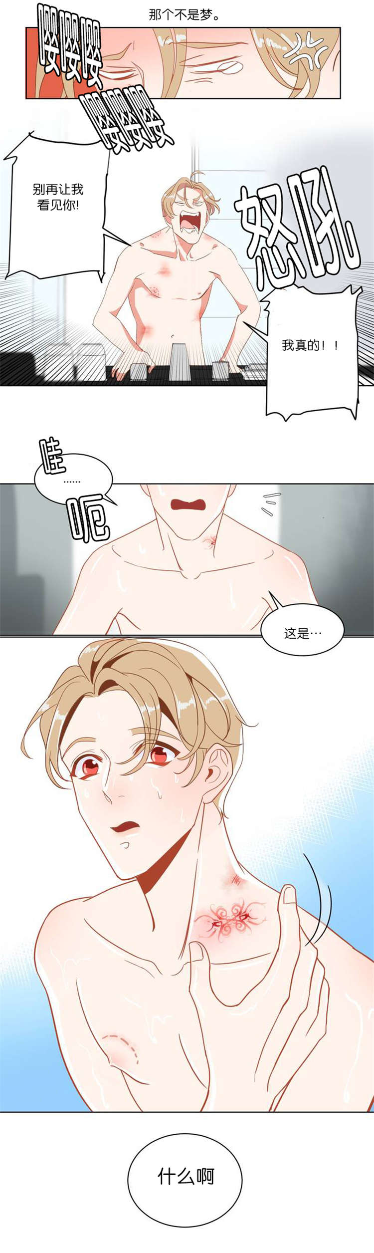 第2章：这是什么12