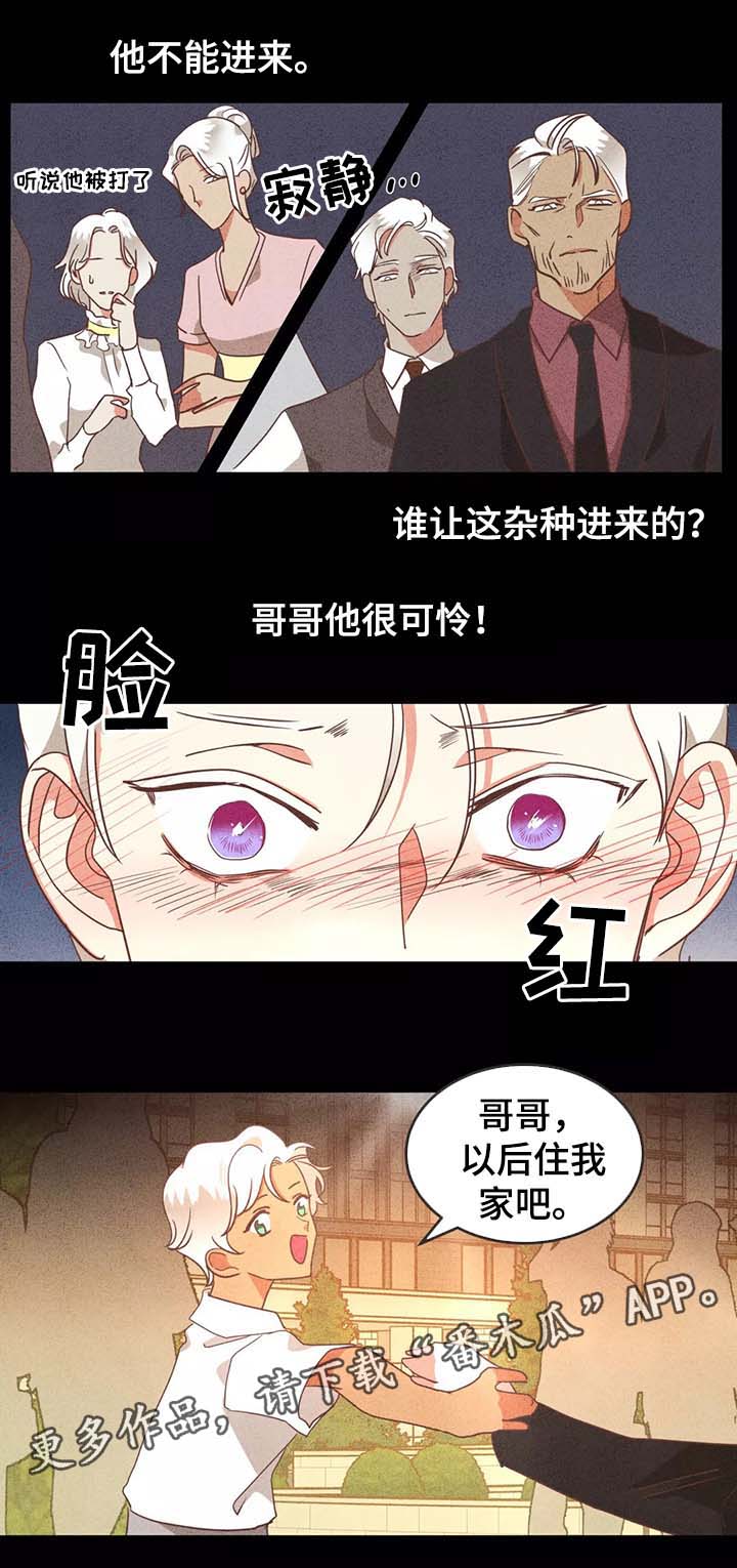 第97章：别再插手我的爱情0