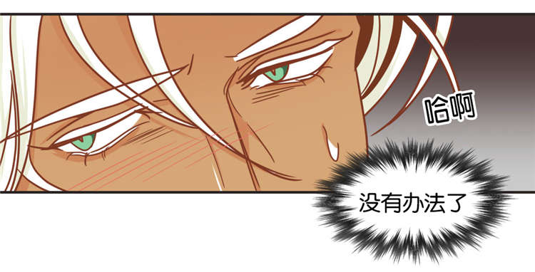 第46章：玩弄6