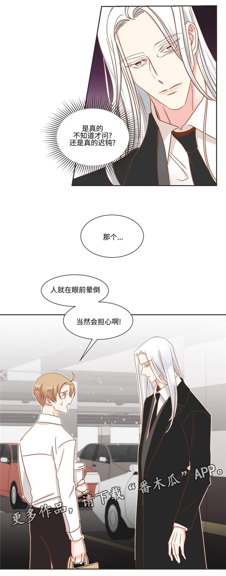 第54章：猫毛2