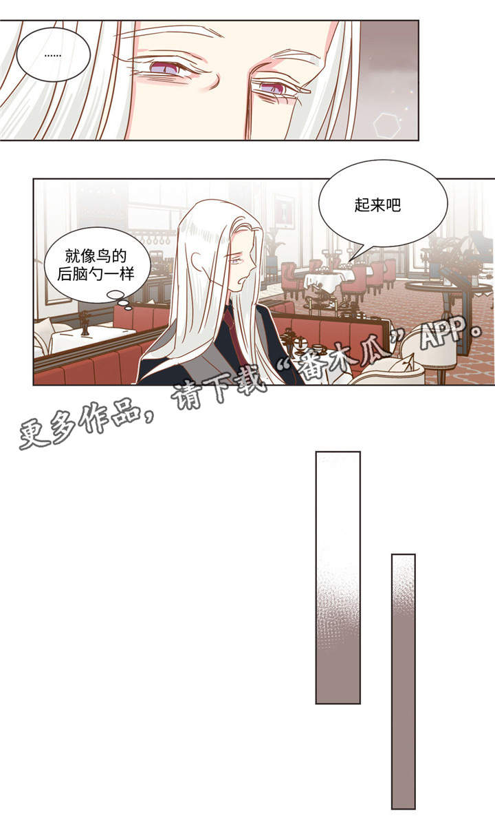 第60章：十个问题9