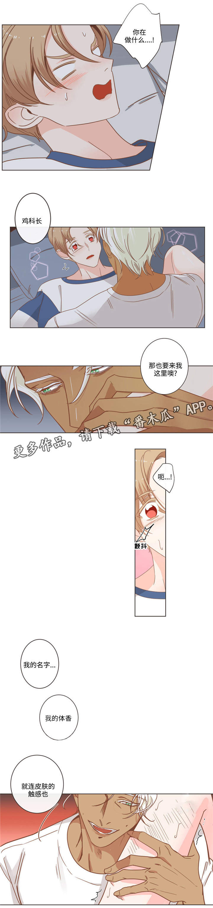 第67章：单纯的人11