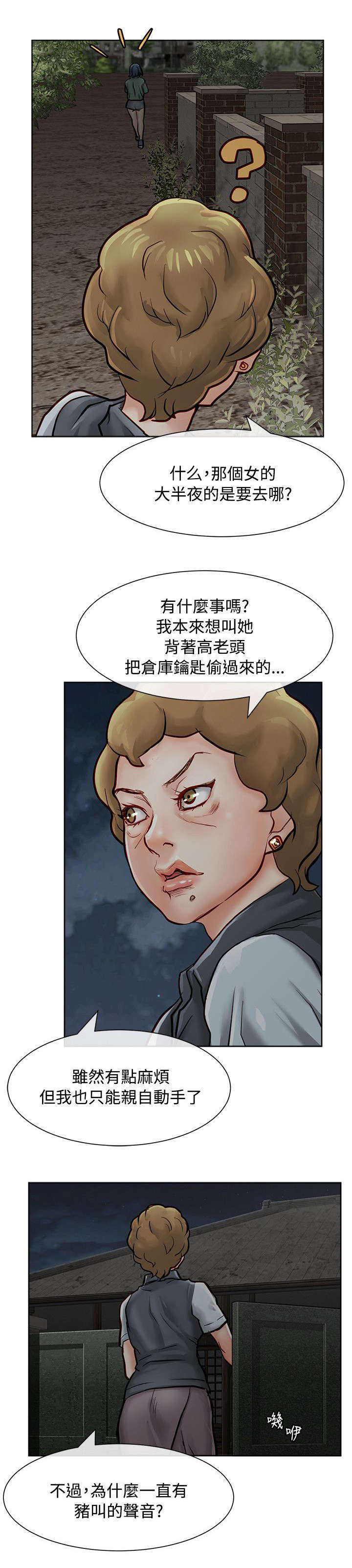 第23章：偷偷行动11
