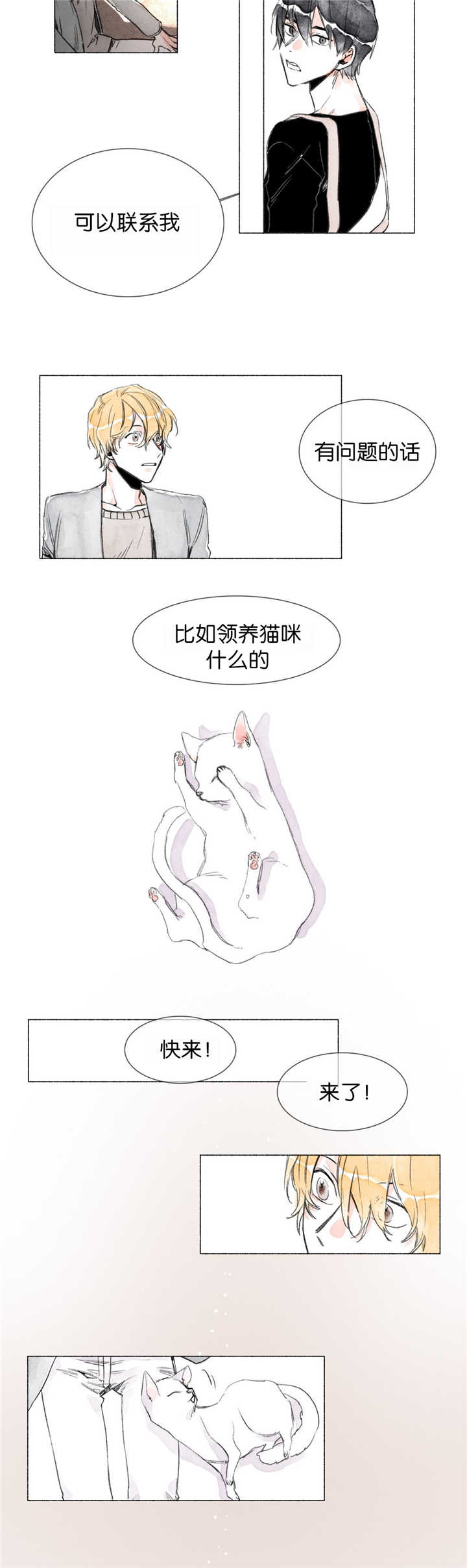 第7章：遐想5