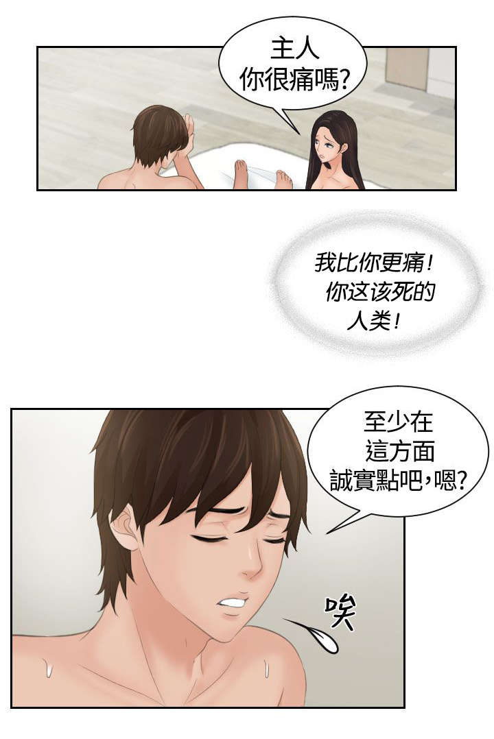 第4章：命令11