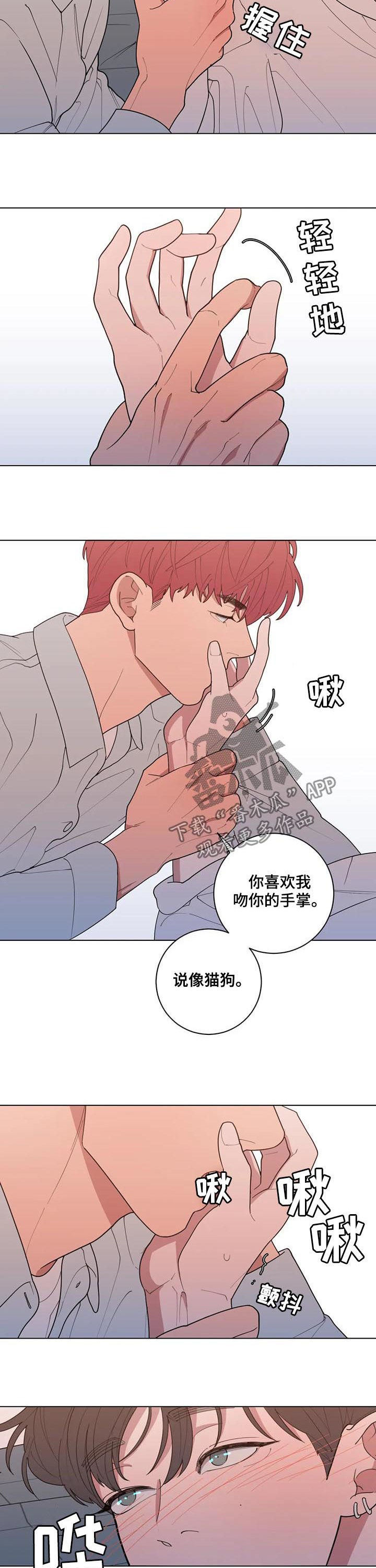 第195章：喜好4
