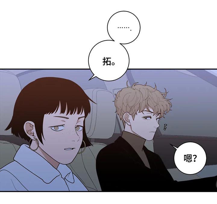 第167章：挡箭牌1