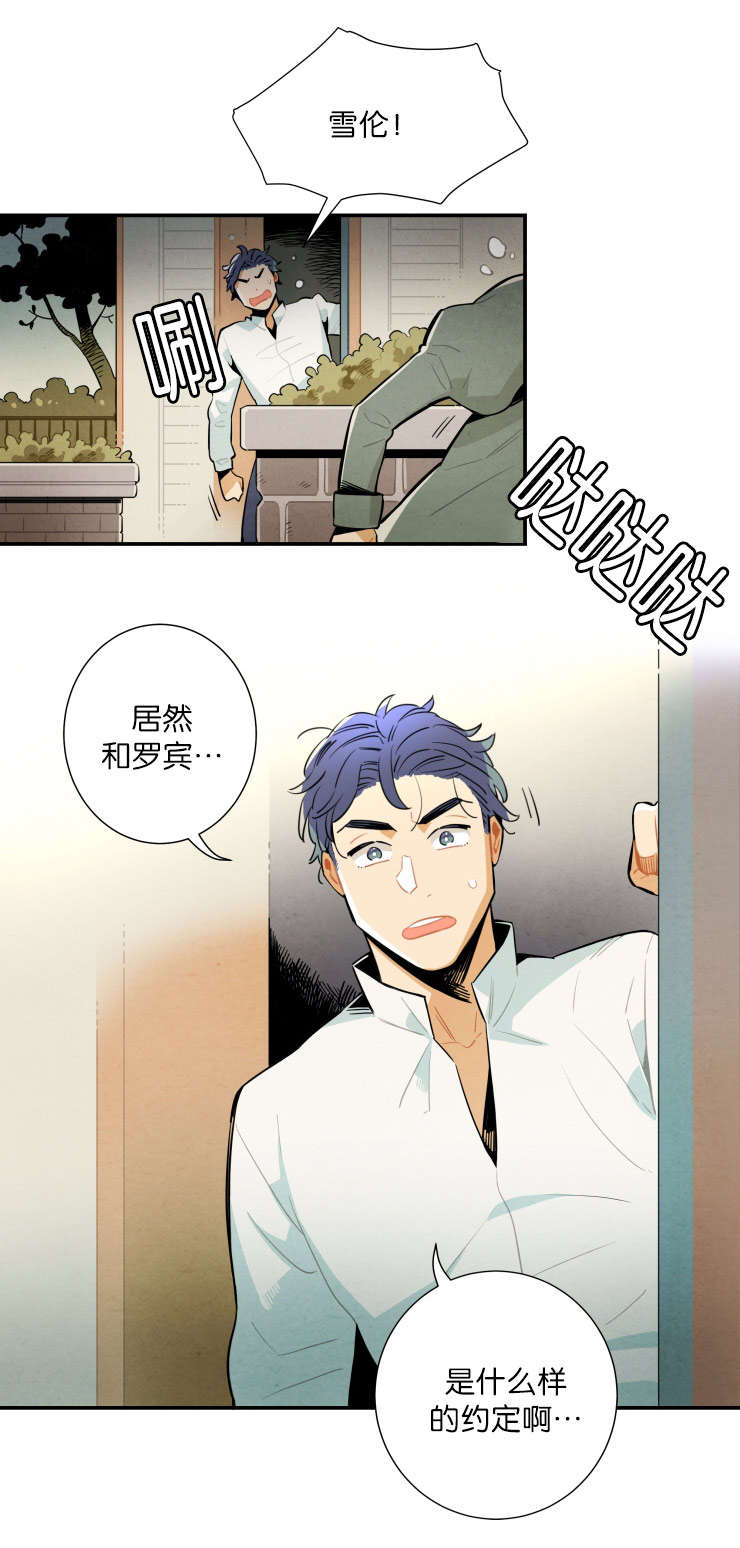 第21章：神秘的约定12