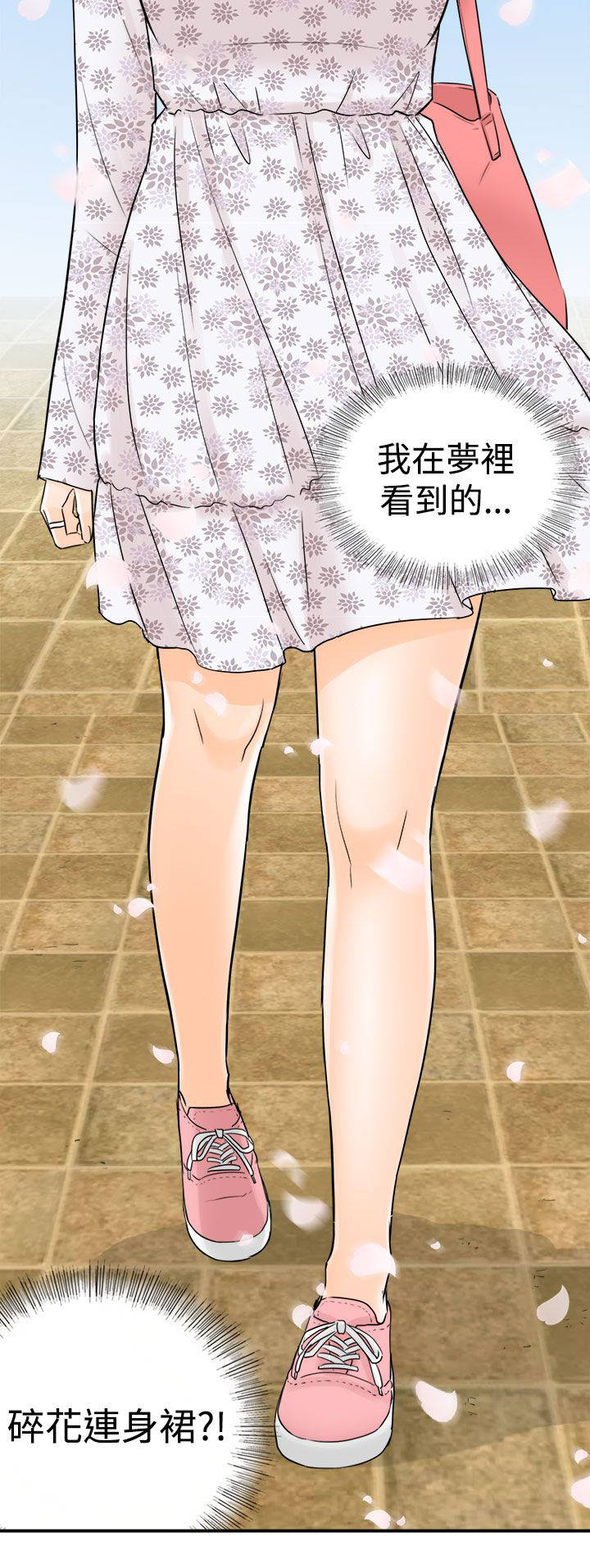 第18章：碎花连衣裙15