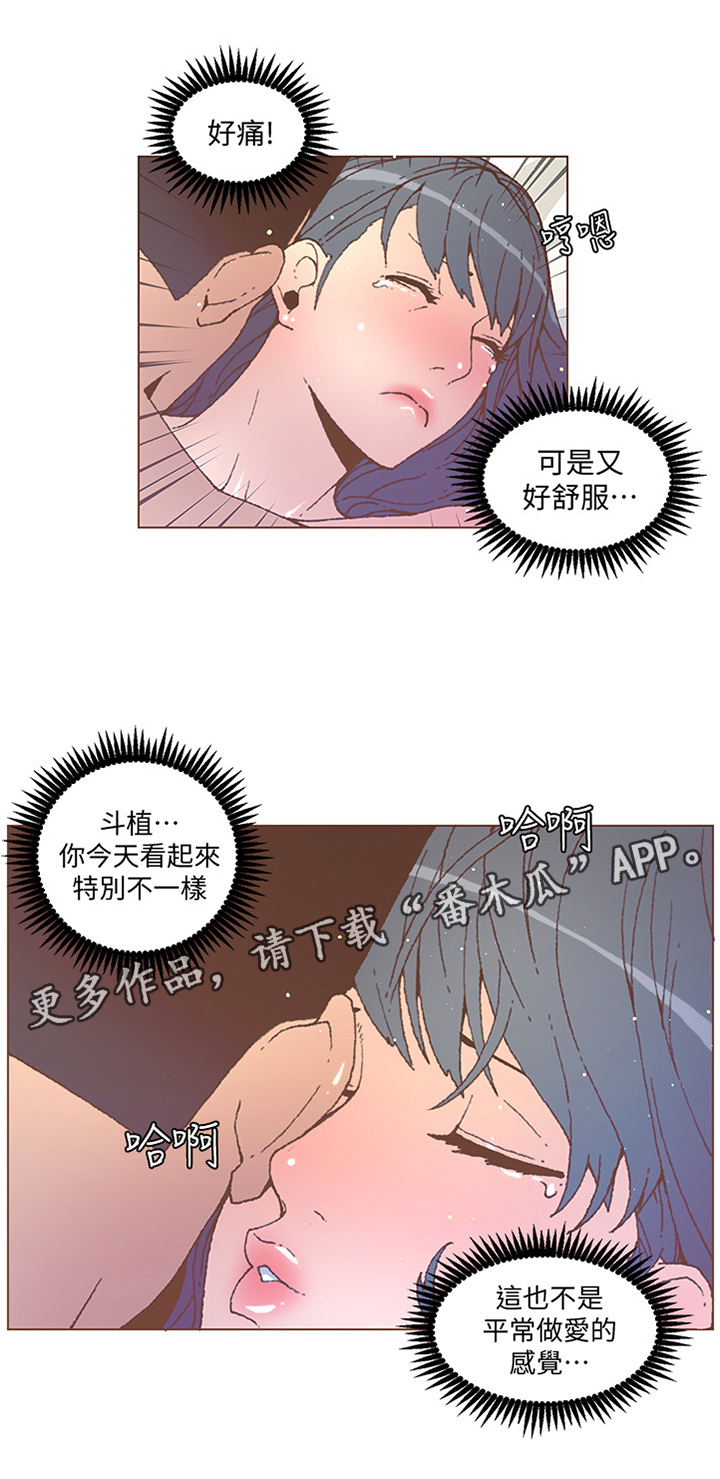 第101章：你这个王八蛋0