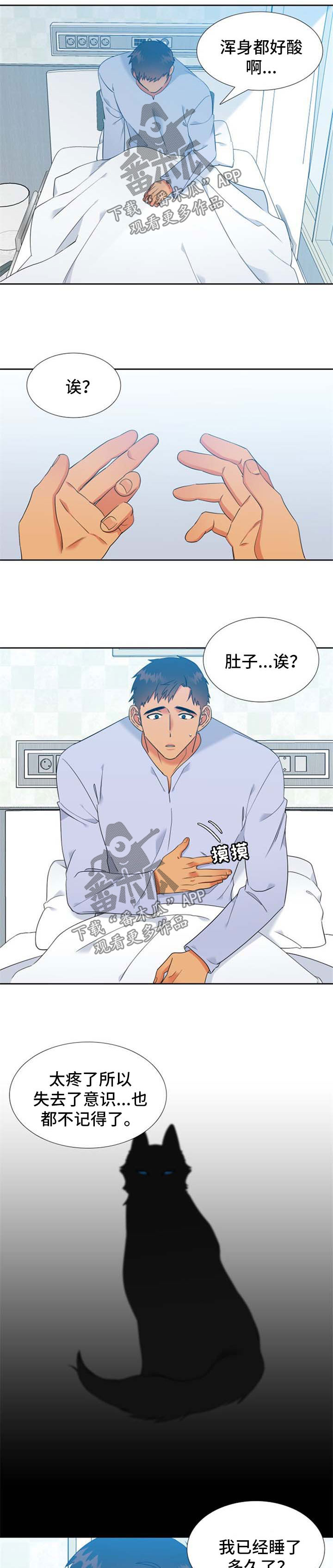 第213章：【第二季】主人格苏醒1