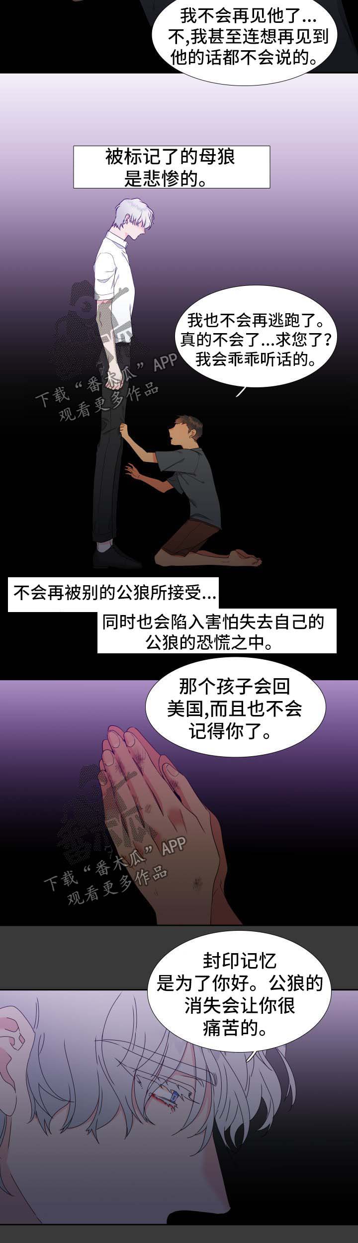 第145章：【第二季】捏造记忆7