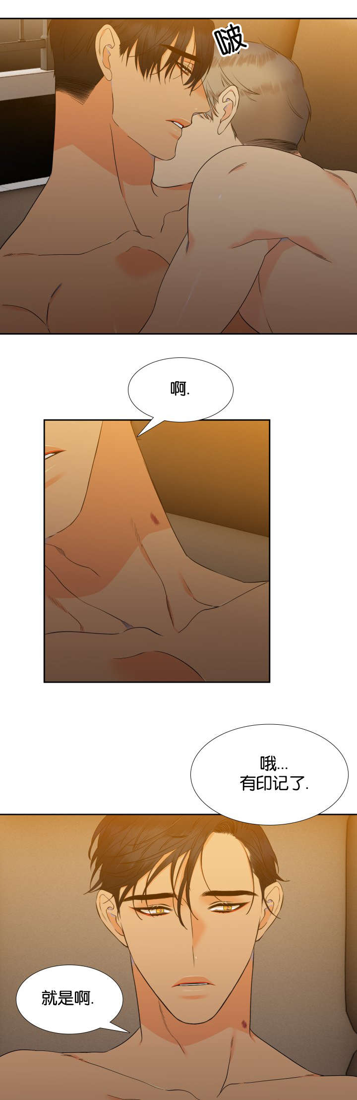 第79章：每天一个12