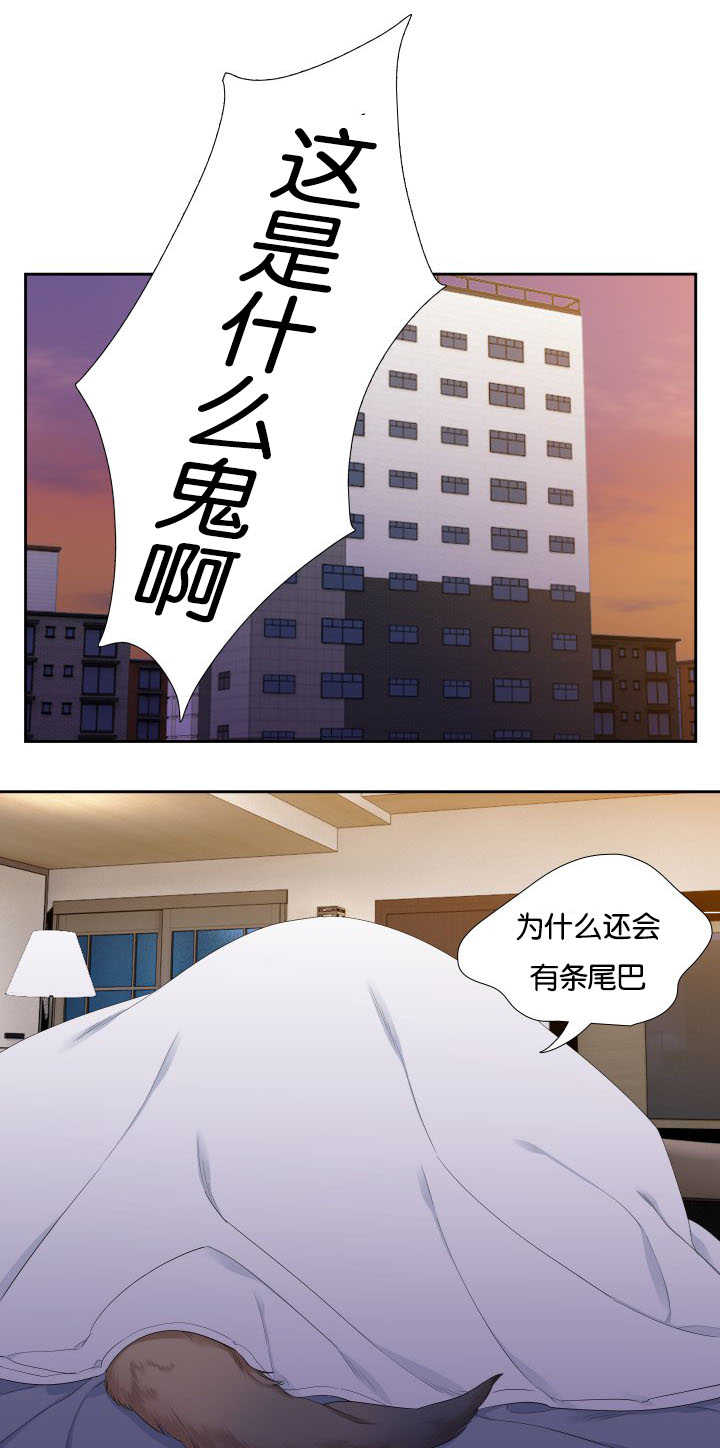 第31章：随心所欲3
