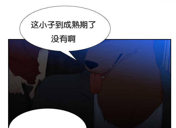 第23章：你答对了4