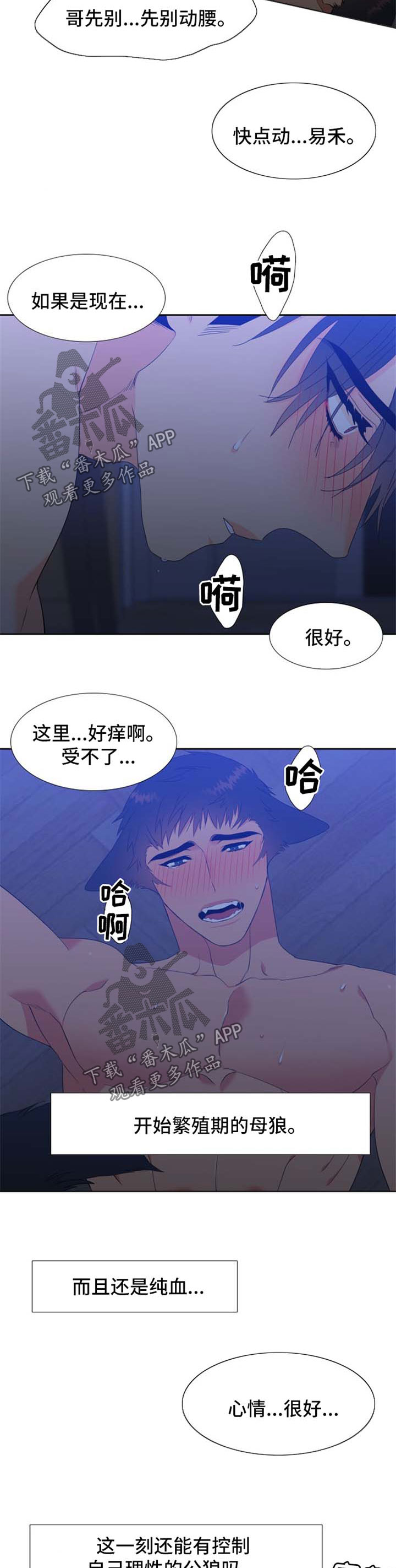 第160章：【第二季】繁殖期的母狼5