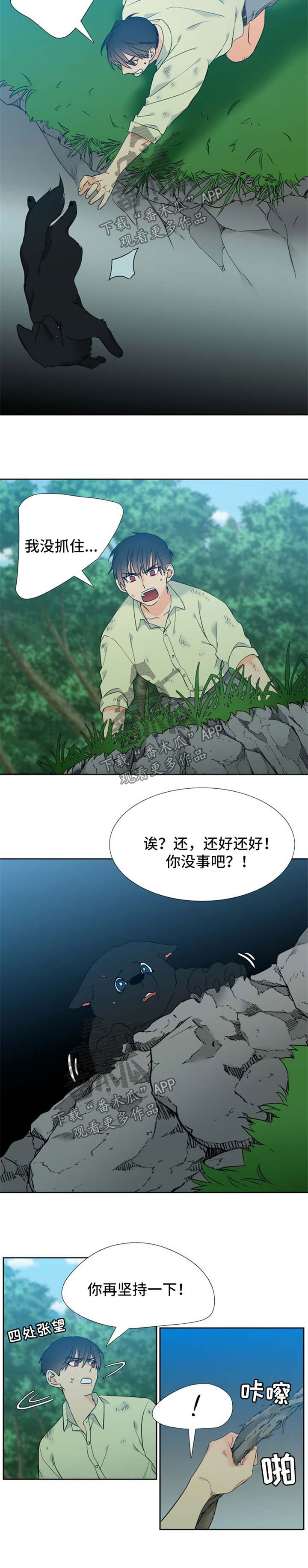 第210章：【第二季】期待重逢1
