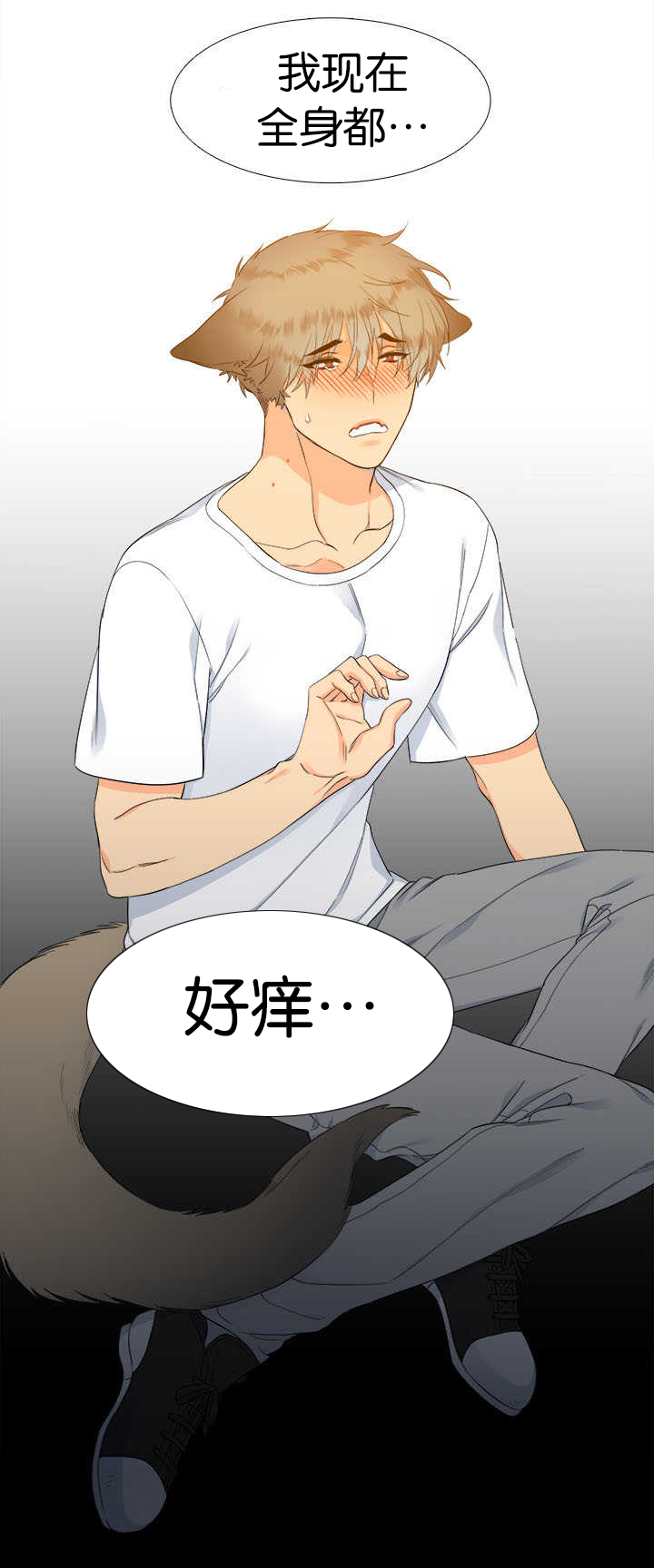 第31章：随心所欲2