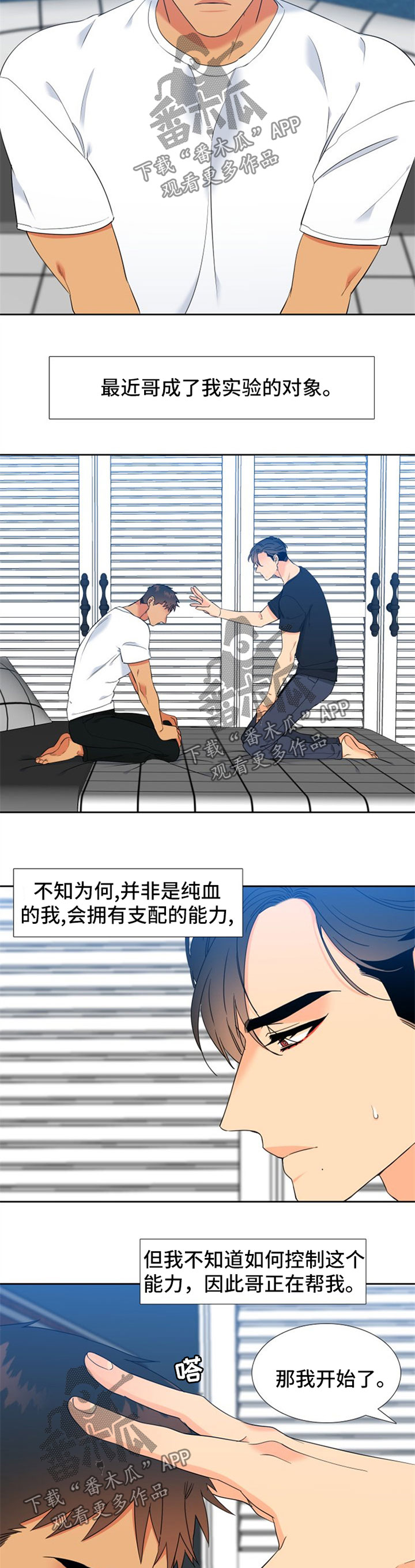 第237章：【第二季】下一任狼族首领1