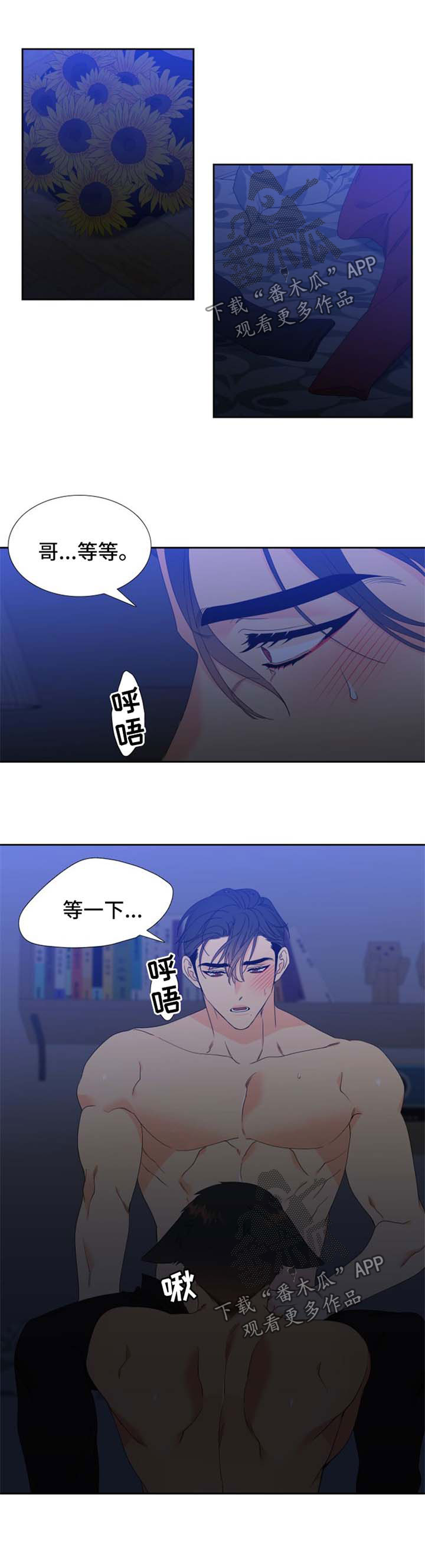 第160章：【第二季】繁殖期的母狼0