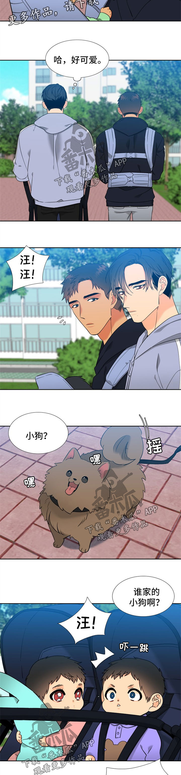 第239章：【第二季】狗1