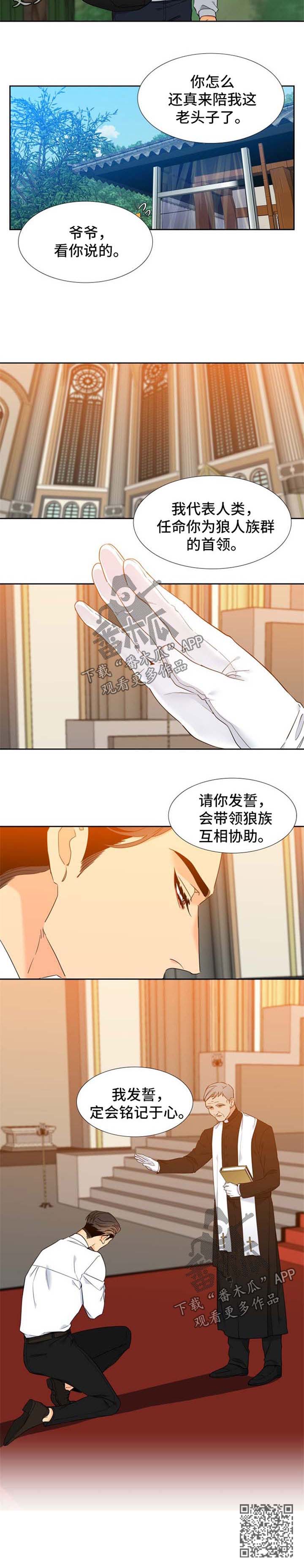 第249章：【第二季】花开两朵，各表一枝6